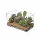 Rectangler Glass Vase-Urban Trends Collection-Clear-8x4x5-Urban Trends Collection