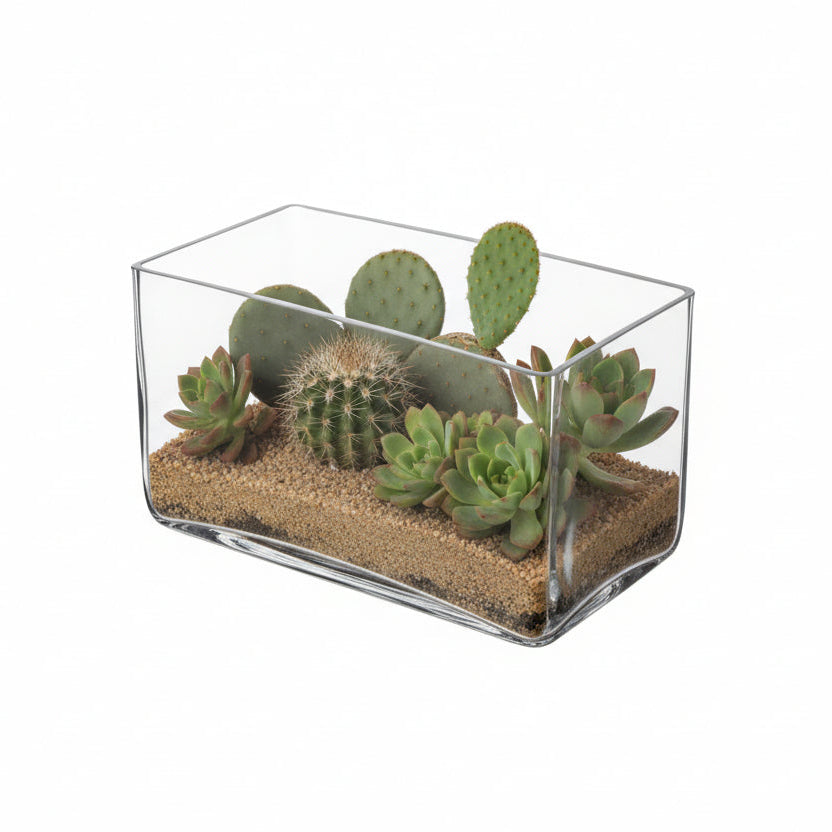 Rectangler Glass Vase-Urban Trends Collection-Clear-8x4x5-Urban Trends Collection