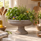Rion Gray Cement Compote Bowl on Stand