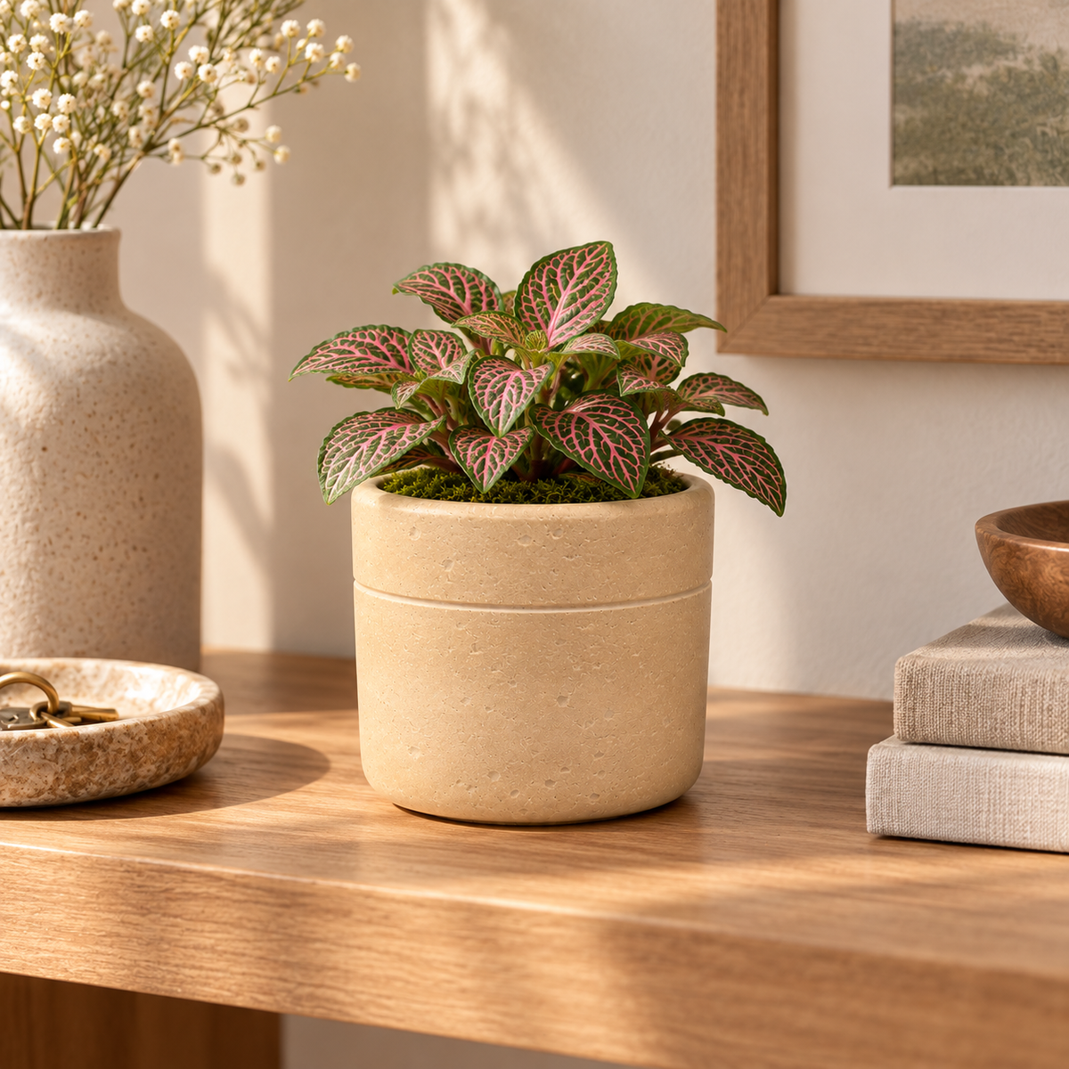 Romi Minimalist Cylindrical Ceramic Planter