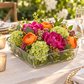 Cadenza Clear Glass Square Vase