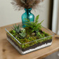 Cadenza Clear Glass Square Vase