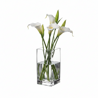 Roux Clear Glass Square Vase