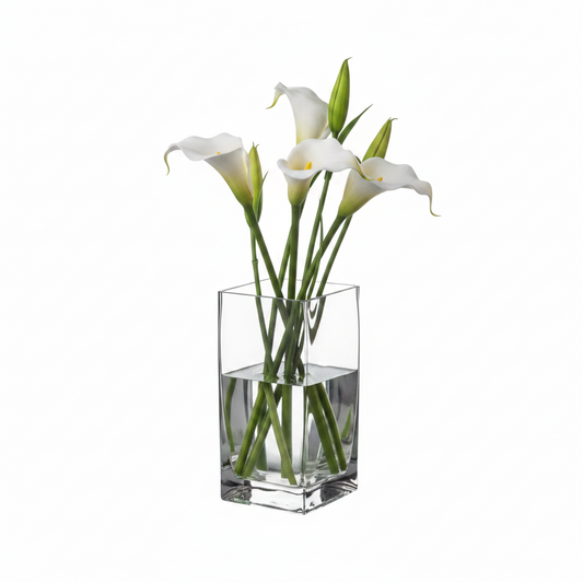 Roux Clear Glass Square Vase