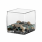 Bria Square Glass Vase