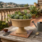 Veneta Embossed Urn Planter