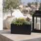 Vienne Rectangular Cement Pot