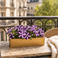 Vienne Rectangular Cement Pot