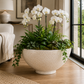 Yara Shell Boat-Shaped Bowl Planter