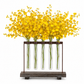 Jaelyn Metal Clustered Hanging Bud Vase Holder with Glass Tubes