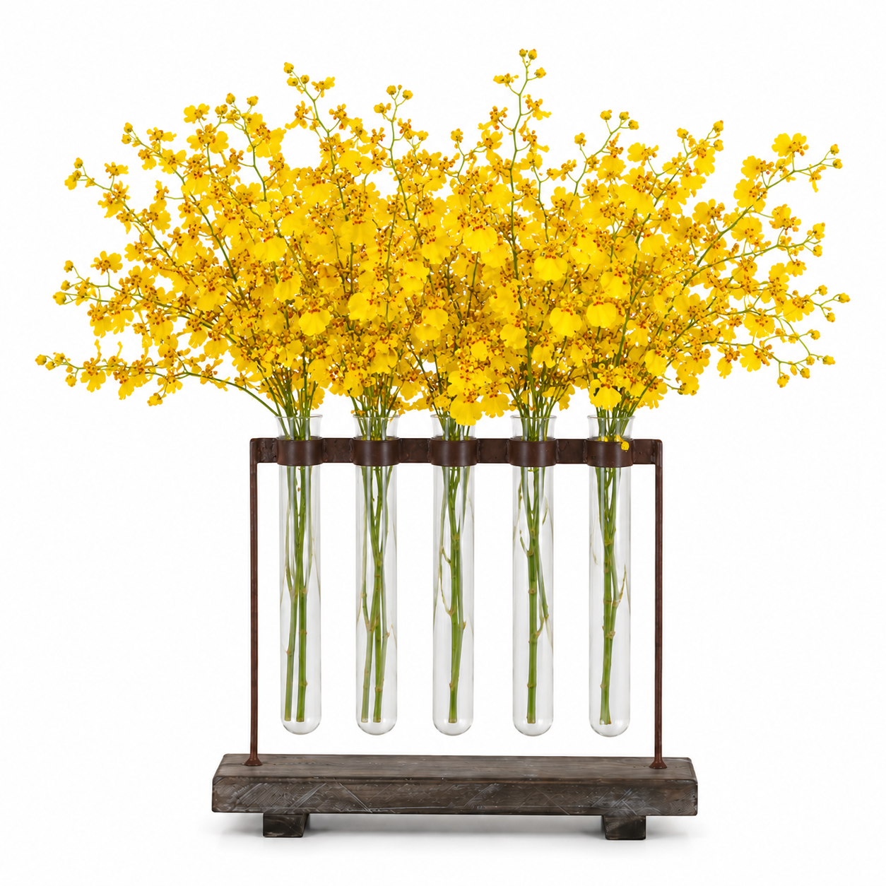 Jaelyn Metal Clustered Hanging Bud Vase Holder with Glass Tubes