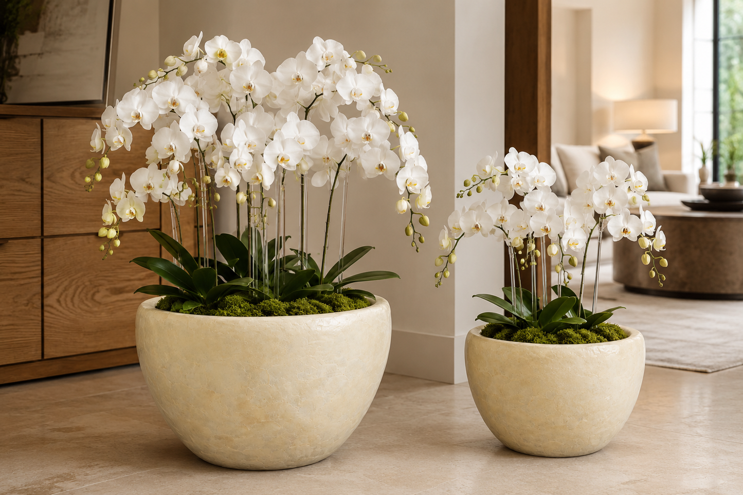 Raya Capri Shell Round Planter Set (Set of 2)