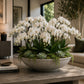 Nahla Wide Bowl Bird Bath with Pedestal Base