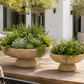A vase with green plants