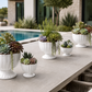Grellen Rippled Off-White Compote Planters