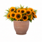 Eterna Handcrafted Round Planter