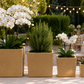 Lerio Textured Cube Ceramic Planter