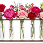 Elowick Hanging Bud Vase Holder