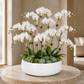 Zara Round Matte White Bowl