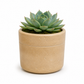 Romi Minimalist Cylindrical Ceramic Planter