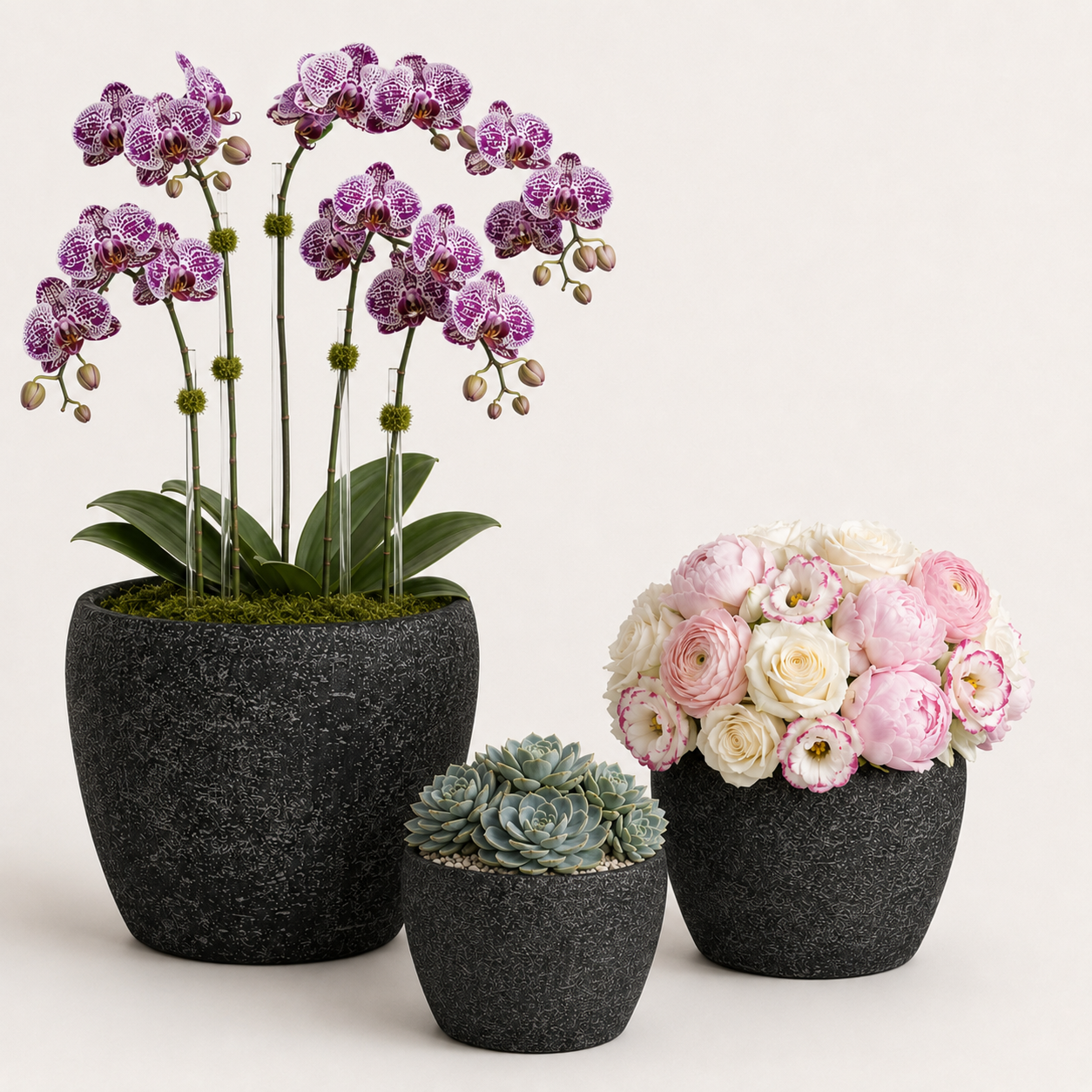 Droven Black Cement Pots