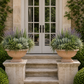 Galen Sand Finish Terracotta Urn Planter