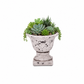 Cami Pedestal Terracotta Urn Planter