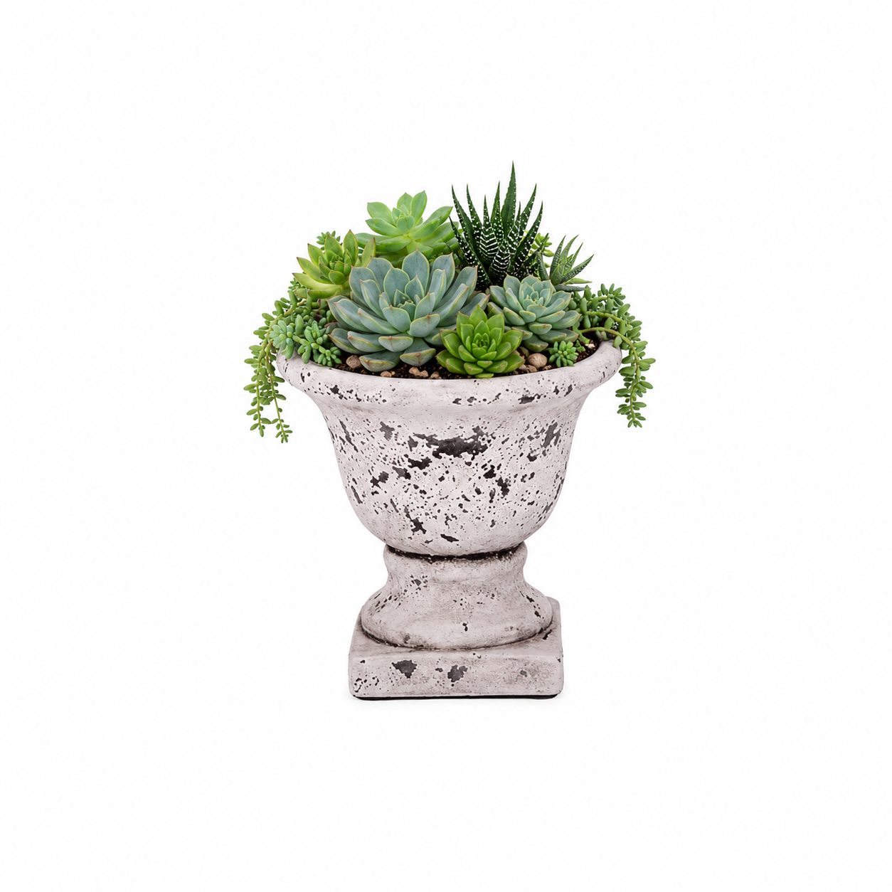 Cami Pedestal Terracotta Urn Planter