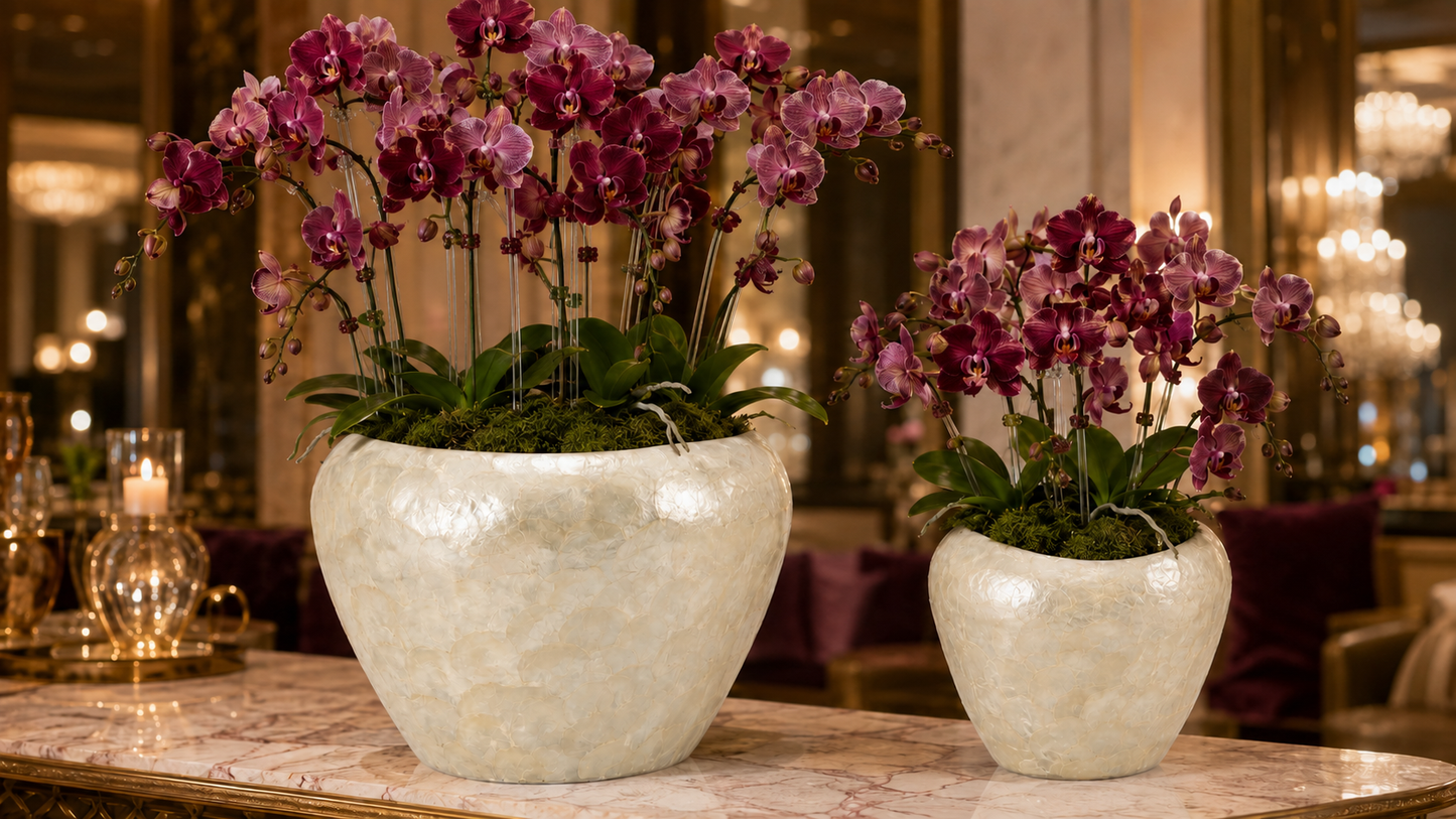 Yael Capri Shell Bowl Planter Set (Set of 2)