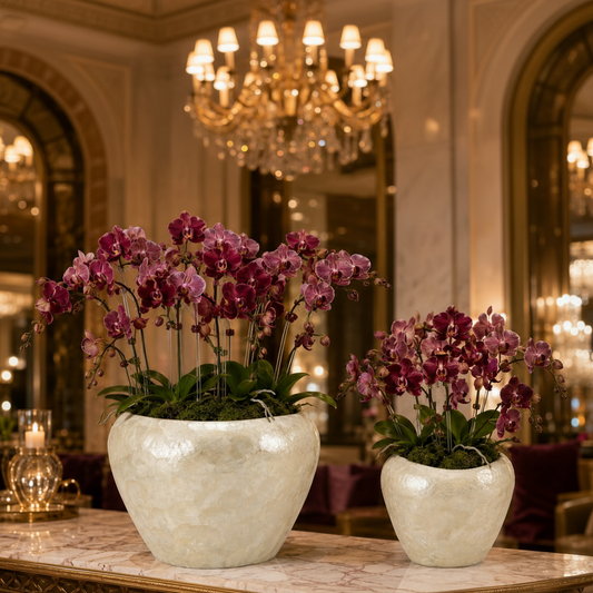 Yael Capri Shell Bowl Planter Set (Set of 2)