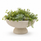 A pedestal planter bowl made of textured light beige stone or concrete, filled with a lush arrangement of green succulents and trailing vines, photographed on a clean white background.