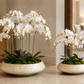 Ainsley Shell Mosaic Bowl Planter Set (Set of 2)