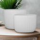 Rheva Ceramic Tall Oval Planter Set (Set of 2)