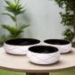 Daryna Metal Round Planter Set (Set of 3)