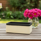 Bravine Rectangular Cement Pot