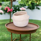 Marius Ceramic Pot