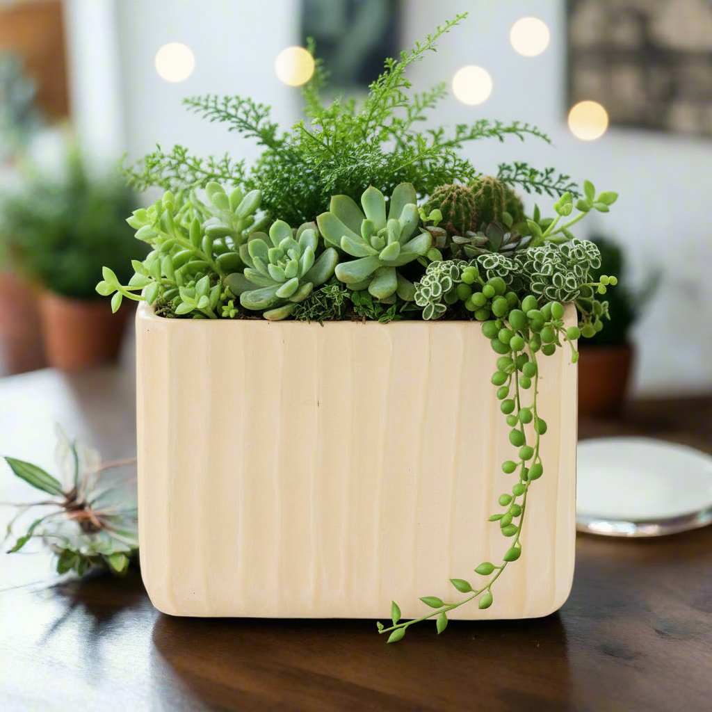Bridget Cement Tall Rectangular Pot