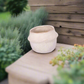 Marius Ceramic Pot