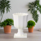 Clarisse Ceramic Tulip Urn Planter
