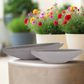 Darian Tapered Oval Cement Planter Set (Set of 2)