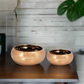 Lumia Stoneware Ceramic Pot (Set of 2)