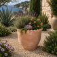 Zia Scalloped Terracotta Planter